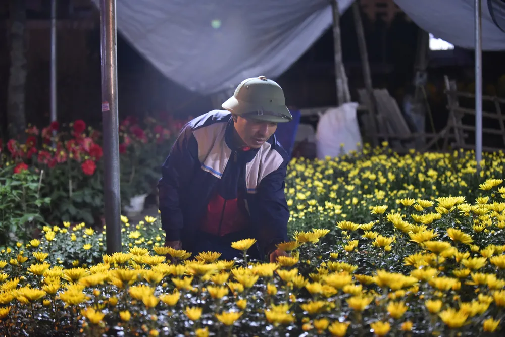 Ảnh chụp tại đường Bùi Khắc Nhất, TP Thanh Hóa ngày 11-1