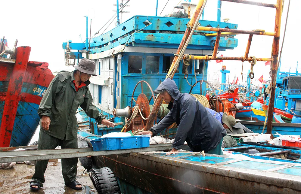 Ngư dân ở cảng cá Sa Kỳ đang tất bật bán hải sản để tiếp tục ra khơi vụ tết. Ảnh: NGUYỄN TRANG