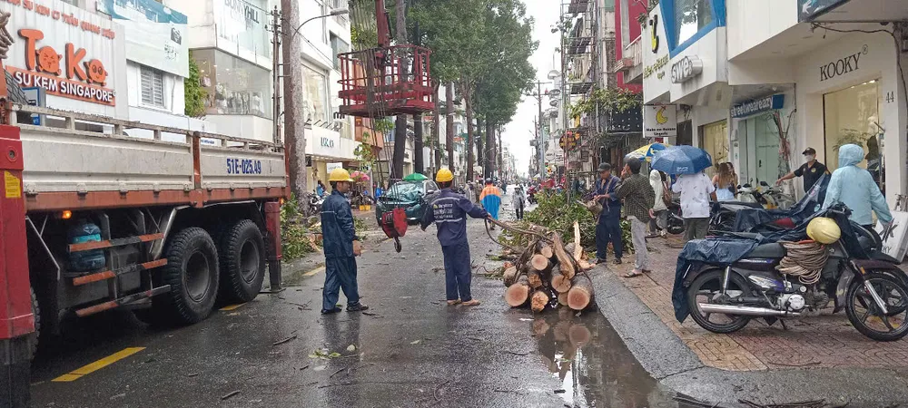 Trận mưa to trưa ngày 20-7 đã làm gãy một cây xanh trên đường Trần Quang Diệu, phường Nhiêu Lộc , TPHCM. Ảnh: MINH HẢI gen-n-z6826552501420_e43fe9c4f35bd77a3818f0d4bd66d304.jpg