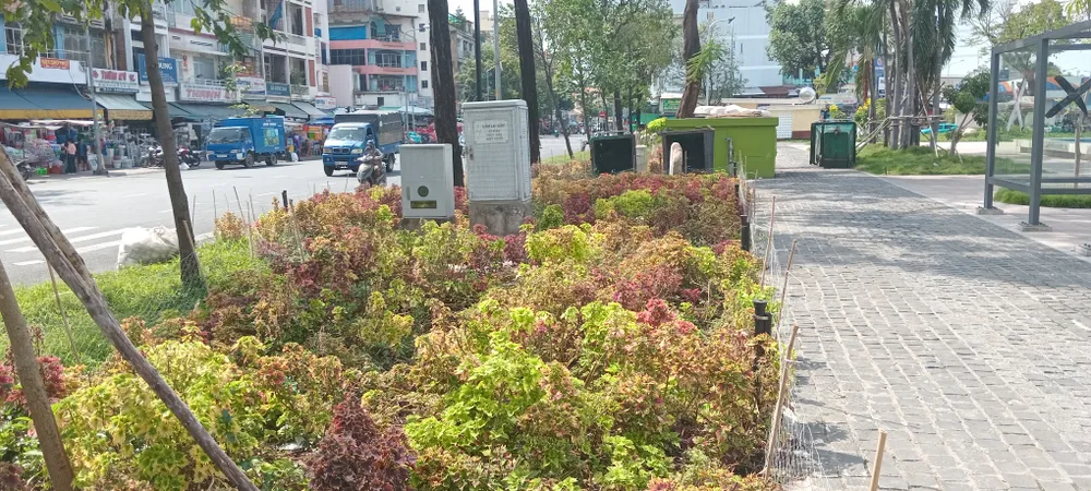 Đổi thay ở Công viên Thăng Long 