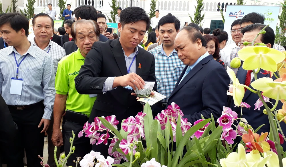 Anh Phan Thanh Sang, Chủ tịch Hiệp hội Hoa Đà Lạt giới thiệu với Thủ tướng về giống hoa lan mới