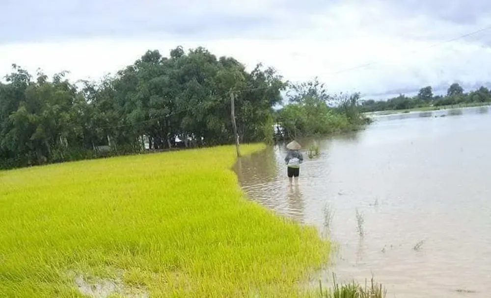 Mưa lớn, nhiều địa phương ở Đắk Lắk bị cô lập, phải di dời dân ảnh 5 Mưa lớn, nhiều địa phương ở Đắk Lắk bị cô lập, phải di dời dân ảnh 5