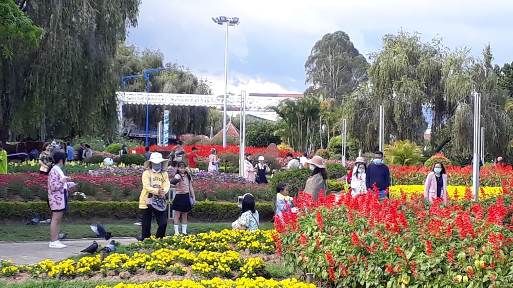Đà Lạt nhộn nhịp khách du xuân ảnh 2