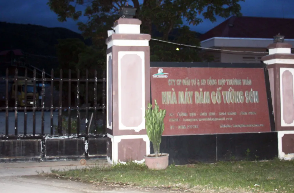 Bắt nghi phạm chủ mưu vụ phá 61ha rừng tự nhiên ở Bình Định ảnh 4