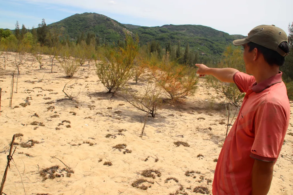 Kiểm điểm Phó giám đốc Sở TN-MT, Chủ tịch xã để DN moi rút titan trái phép  ảnh 4