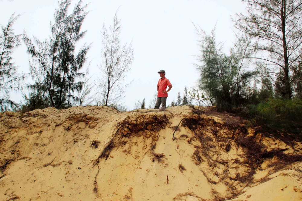 Kiểm điểm Phó giám đốc Sở TN-MT, Chủ tịch xã để DN moi rút titan trái phép  ảnh 1