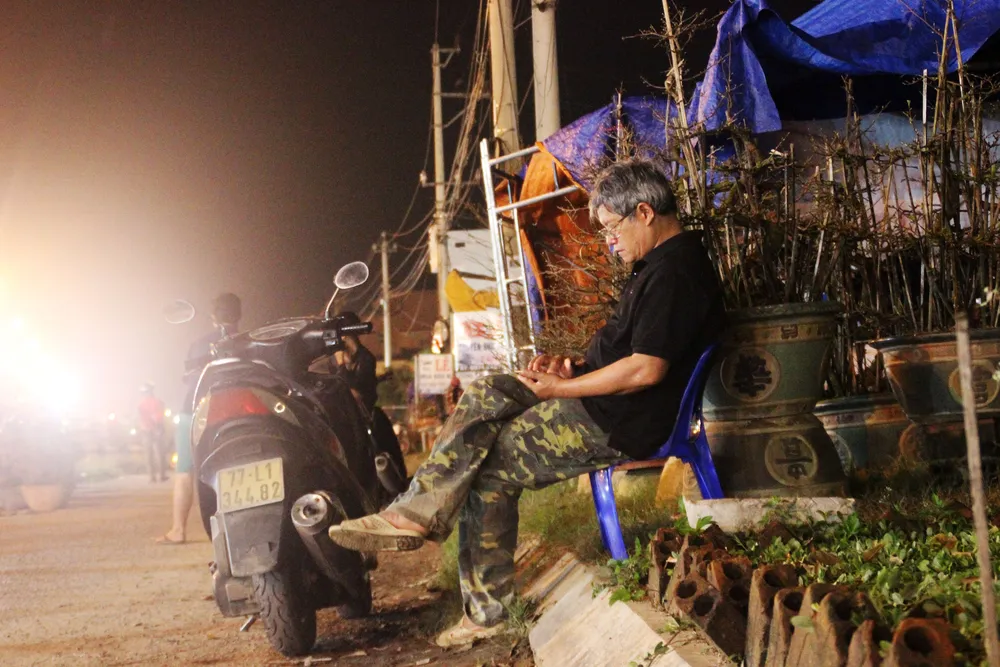 Chủ mai Bình Định “đổ bộ” QL1 chong đèn, dựng lều chào bán mai tết sớm ảnh 9