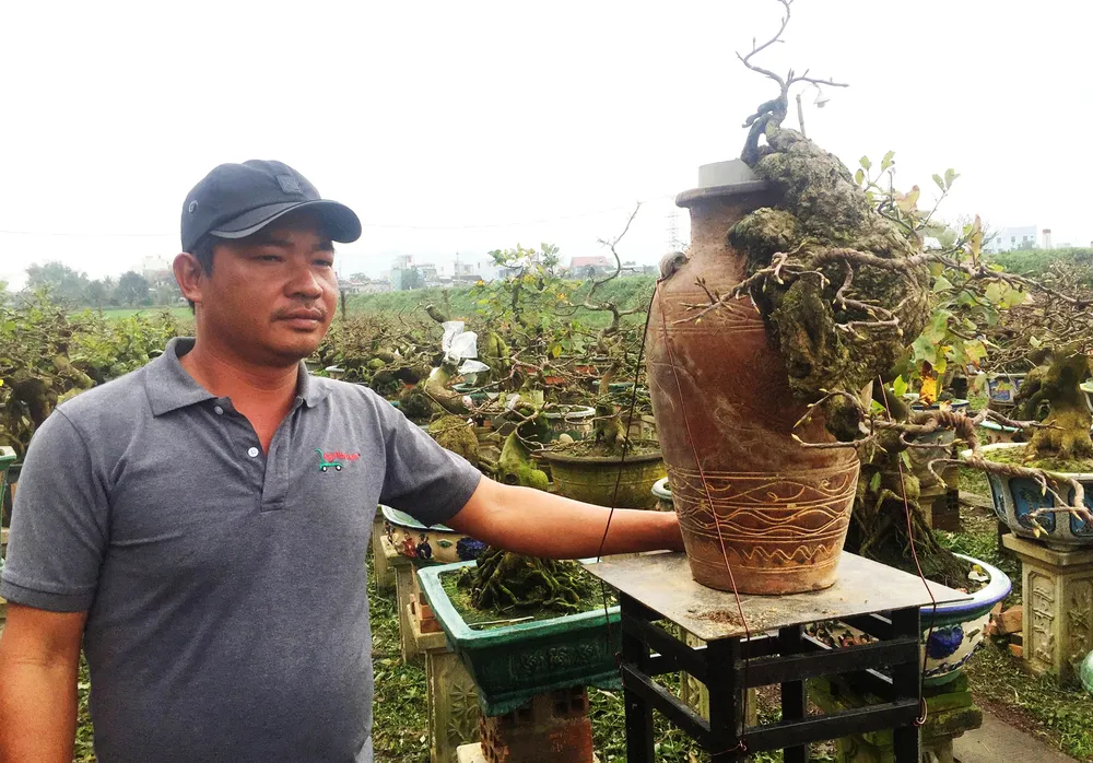 Chủ mai Bình Định “đổ bộ” QL1 chong đèn, dựng lều chào bán mai tết sớm ảnh 4