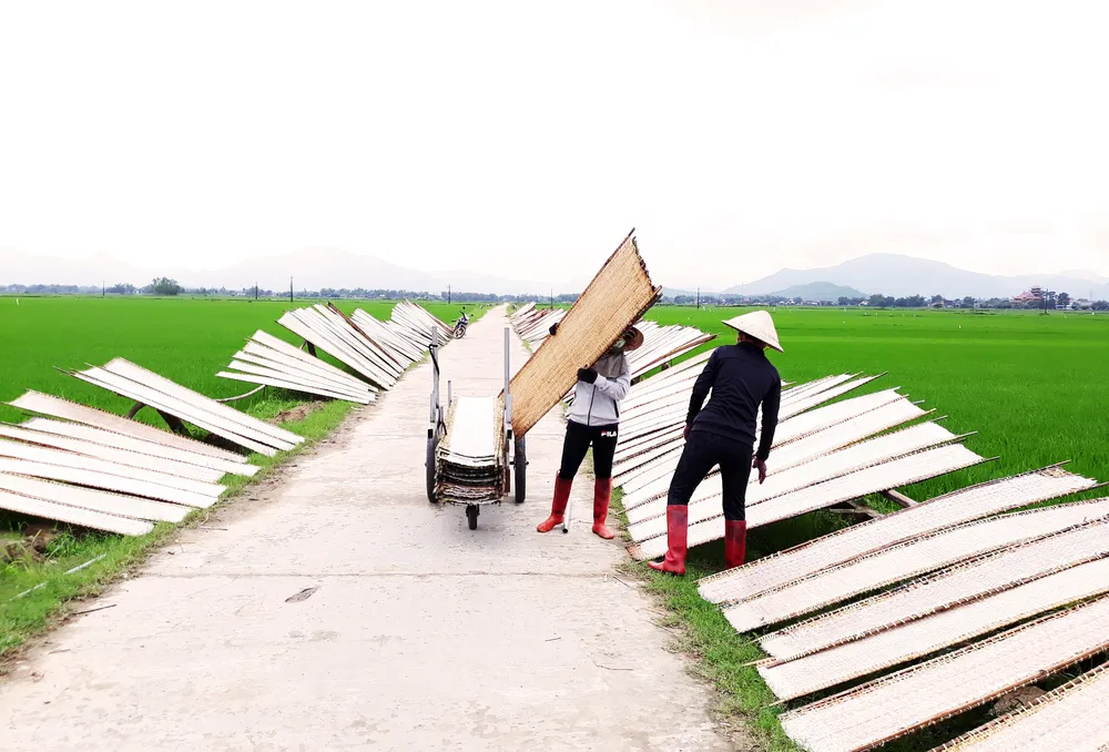 Làng nghề truyền thống An Thái rộn ràng vào vụ tết ảnh 1 Làng nghề truyền thống An Thái rộn ràng vào vụ tết ảnh 1