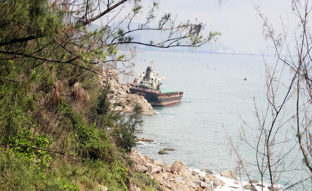 Những con tàu đắm ở vịnh Quy Nhơn giờ ra sao? ảnh 5