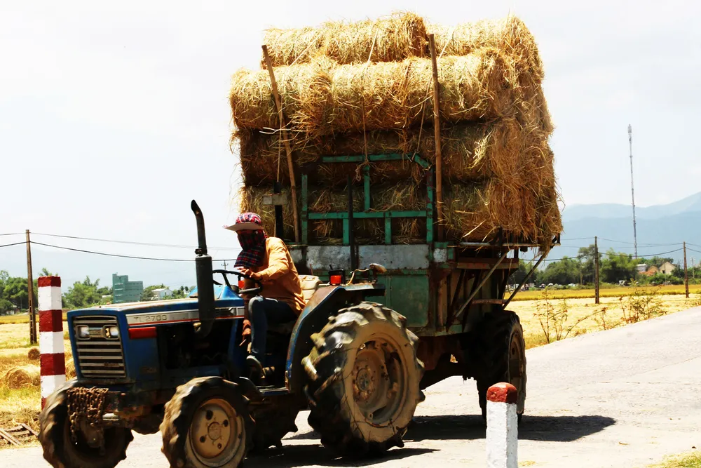 “Chợ rơm” giữa đồng ảnh 3