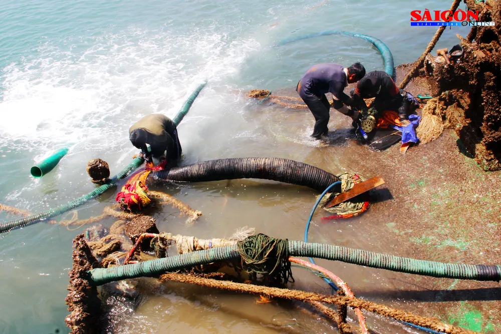 Cận cảnh thợ lặn ngâm mình giữa biển, tìm cách lặn vào khoang tàu đắm ảnh 1