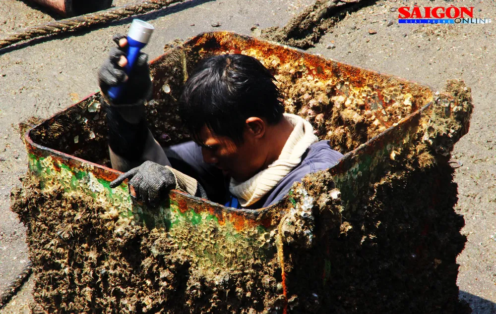 Cận cảnh thợ lặn ngâm mình giữa biển, tìm cách lặn vào khoang tàu đắm ảnh 3