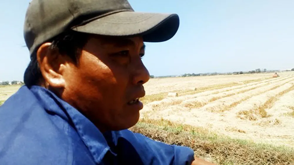 “Chợ rơm” giữa đồng ảnh 1