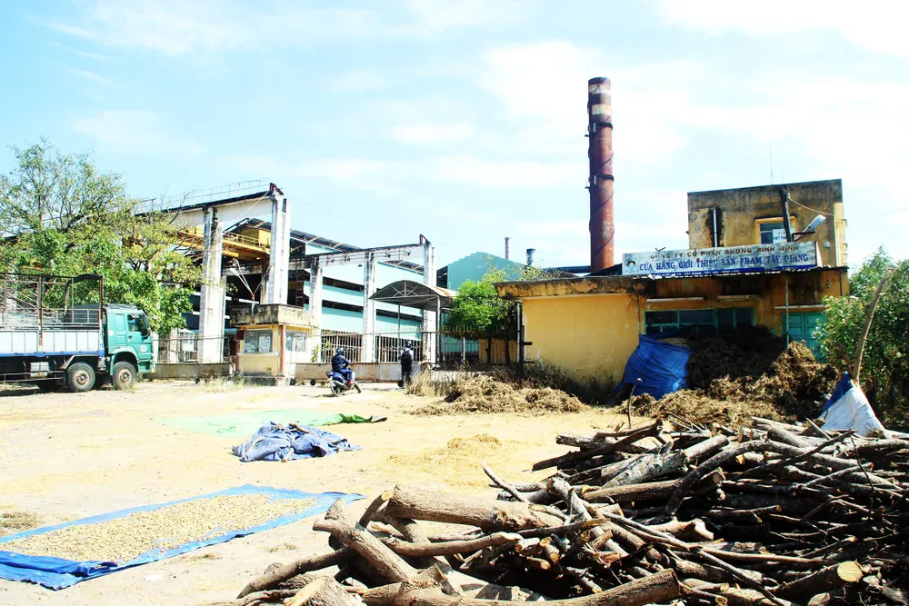 Khối tài sản của ông chủ BISUCO để lại ở Bình Định rồi “tẩu thoát“ ảnh 9