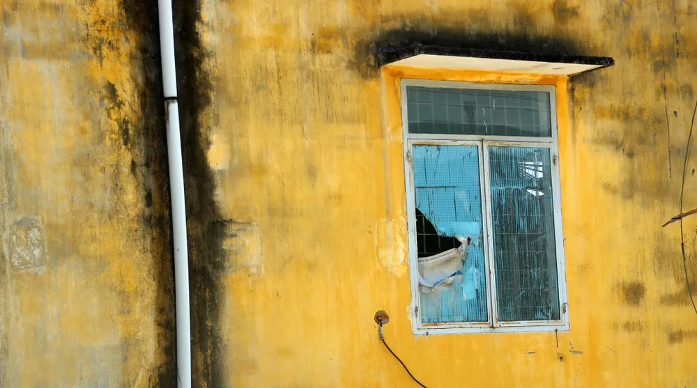 Khối tài sản của ông chủ BISUCO để lại ở Bình Định rồi “tẩu thoát“ ảnh 8