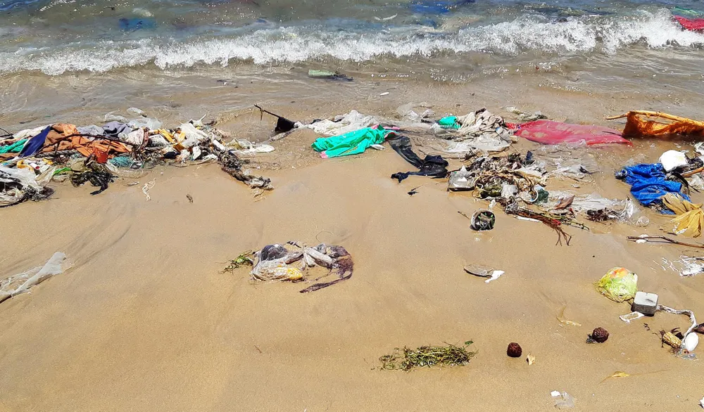 Cận cảnh bãi biển đẹp như tranh bị “đầu độc” bởi rác thải ảnh 5