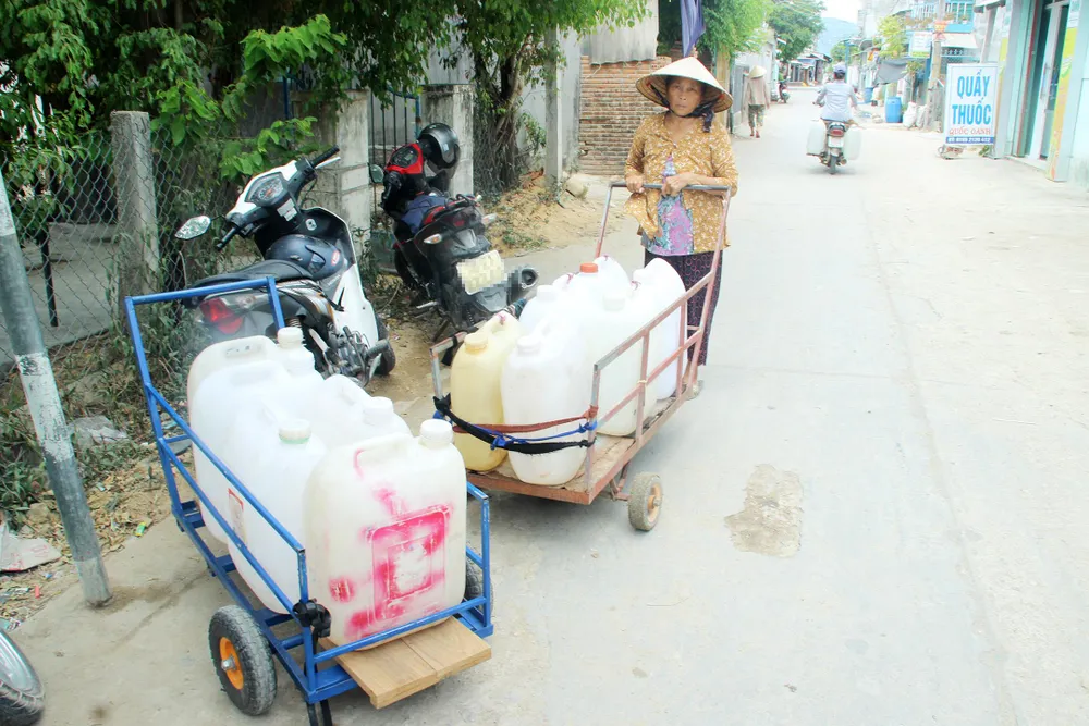 Hạn hán, thiếu nước đang khiến cho người dân ở các thôn Nhân Ân, Bình Thái, Quảng Vân, Diêm Vân,... (xã Phước Thuận) vô cùng khốn đốn.