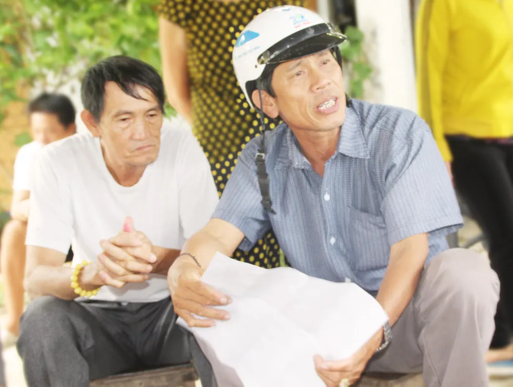 Rừng ngập mặn ven đầm Thị Nại đang bị băm nát ảnh 13