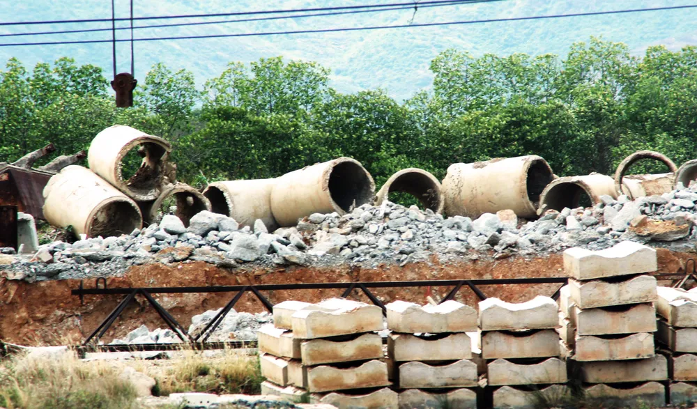 Rừng ngập mặn ven đầm Thị Nại đang bị băm nát ảnh 10