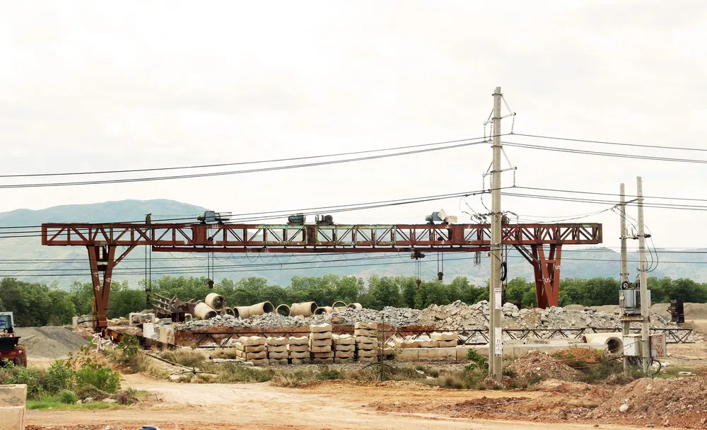 Rừng ngập mặn ven đầm Thị Nại đang bị băm nát ảnh 11