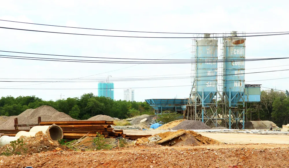 Rừng ngập mặn ven đầm Thị Nại đang bị băm nát ảnh 8