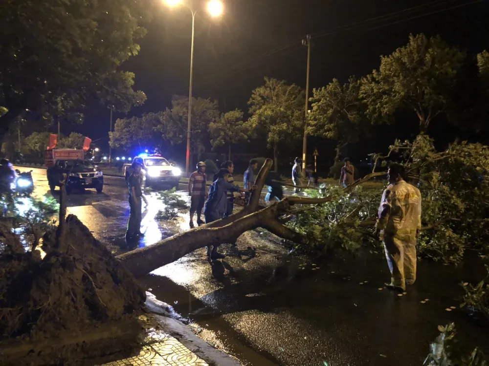 Bão Matmo làm 78 tàu hàng, tàu cá bị đứt neo, trôi dạt ảnh 9