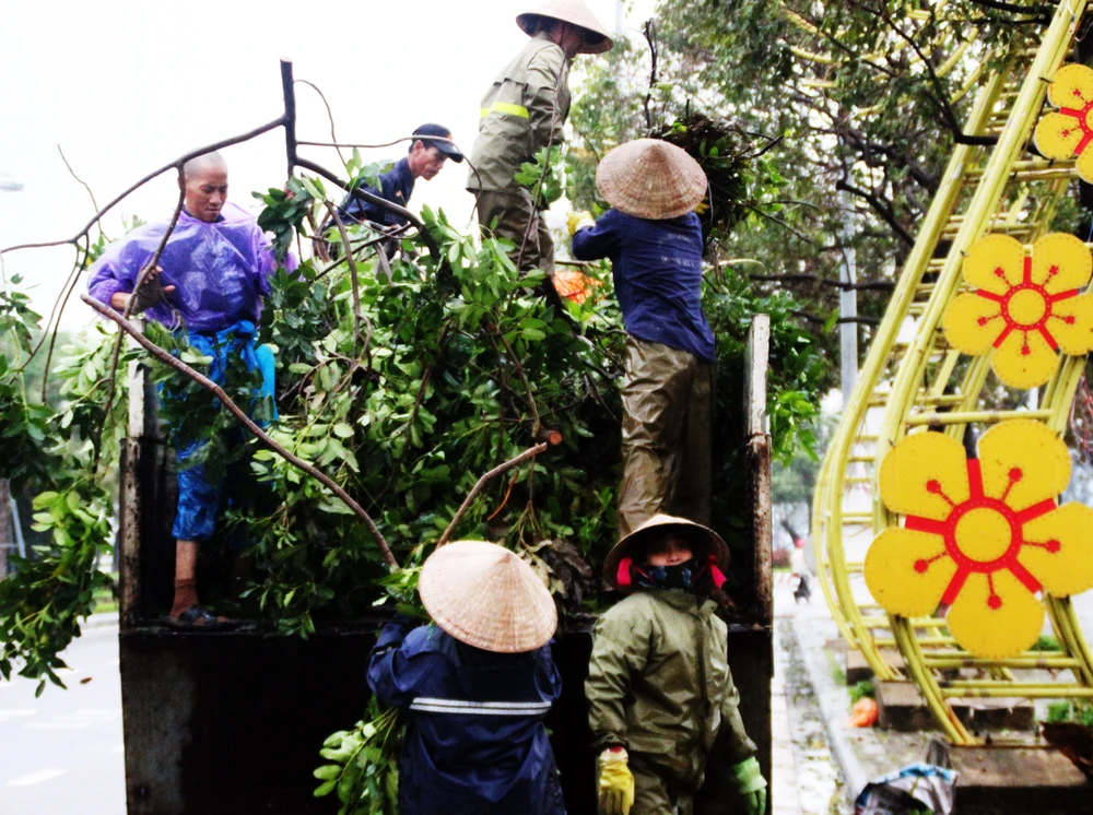 Dọn hàng ngàn tấn rác thải, khôi phục 2.000 cây xanh bị bão quật ngã ảnh 5 Dọn hàng ngàn tấn rác thải, khôi phục 2.000 cây xanh bị bão quật ngã ảnh 5