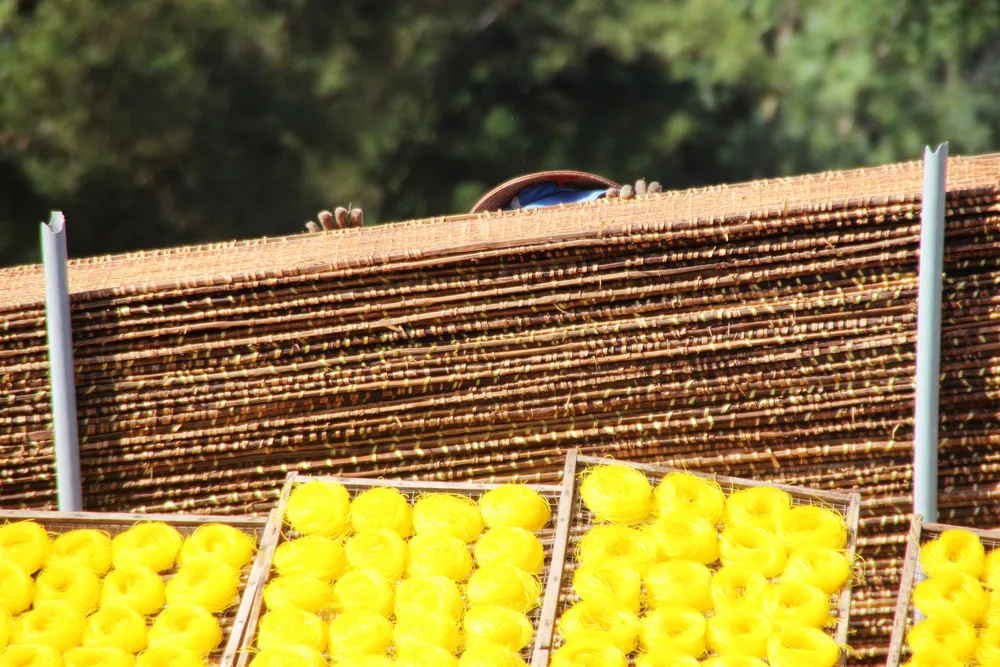 Kỳ thú làm bún Song Thằn ở “đất Võ” ảnh 13