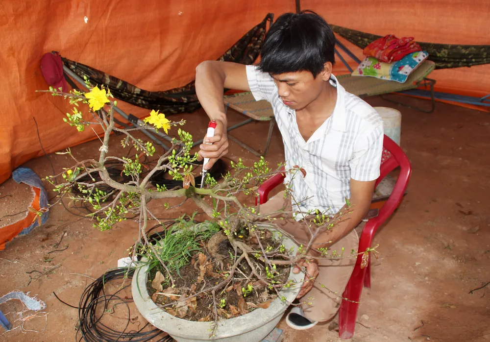 Hàng trăm "đại lão mai" tranh tài ở đất võ ảnh 13 Hàng trăm "đại lão mai" tranh tài ở đất võ ảnh 13