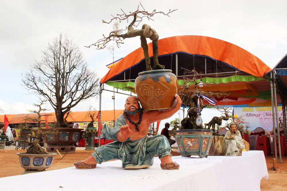 Hàng trăm "đại lão mai" tranh tài ở đất võ ảnh 9 Hàng trăm "đại lão mai" tranh tài ở đất võ ảnh 9