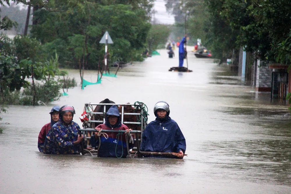 Người dân Lệ Thủy kiệt quệ vì lũ ảnh 14