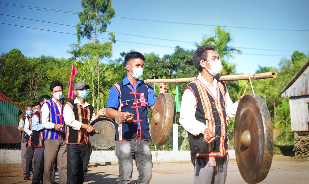 Những lá phiếu sớm sau dốc Cổng Trời ảnh 7 Những lá phiếu sớm sau dốc Cổng Trời ảnh 7