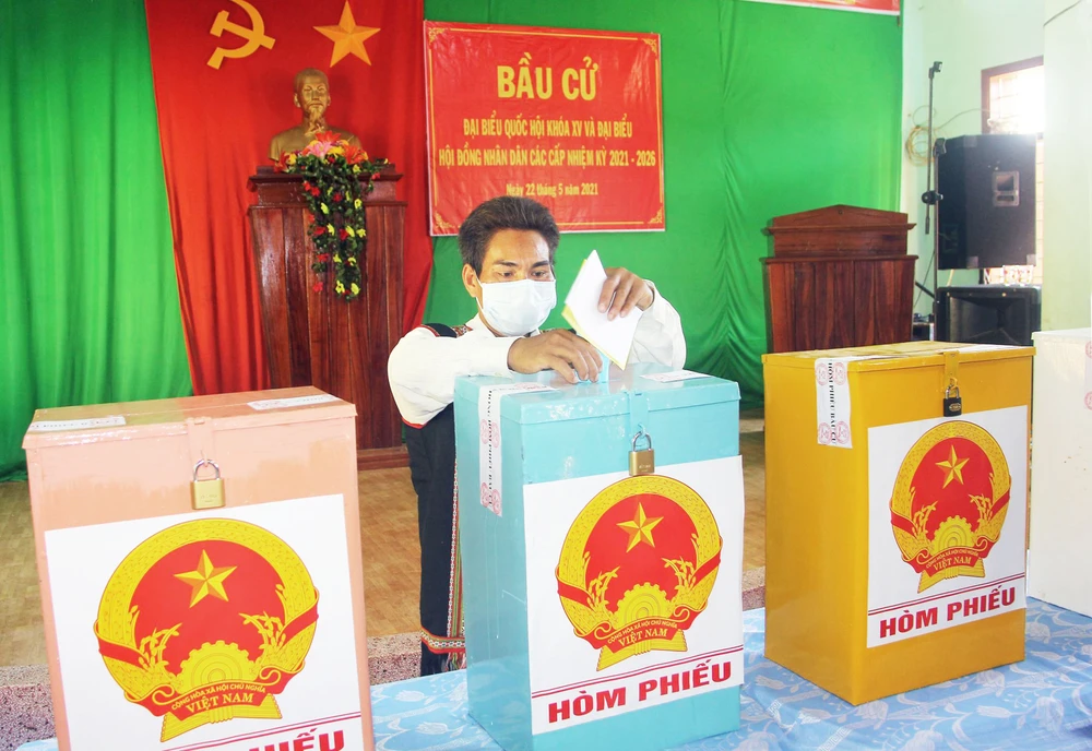 Những lá phiếu sớm sau dốc Cổng Trời ảnh 12 Những lá phiếu sớm sau dốc Cổng Trời ảnh 12