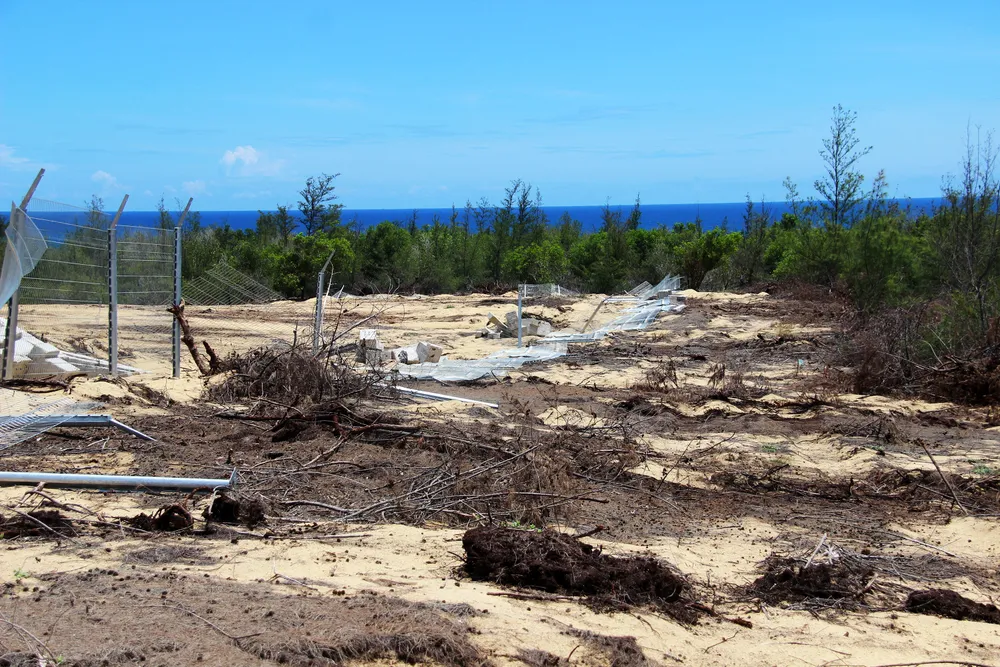 Nhiều héc ta rừng phòng hộ ven biển Bình Định bị san phẳng ảnh 2