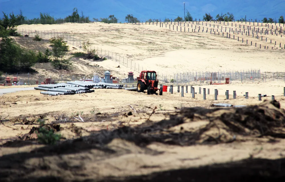 Nhiều héc ta rừng phòng hộ ven biển Bình Định bị san phẳng ảnh 14