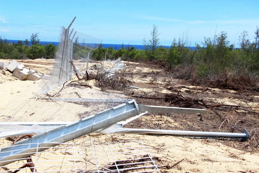 Nhiều héc ta rừng phòng hộ ven biển Bình Định bị san phẳng ảnh 17