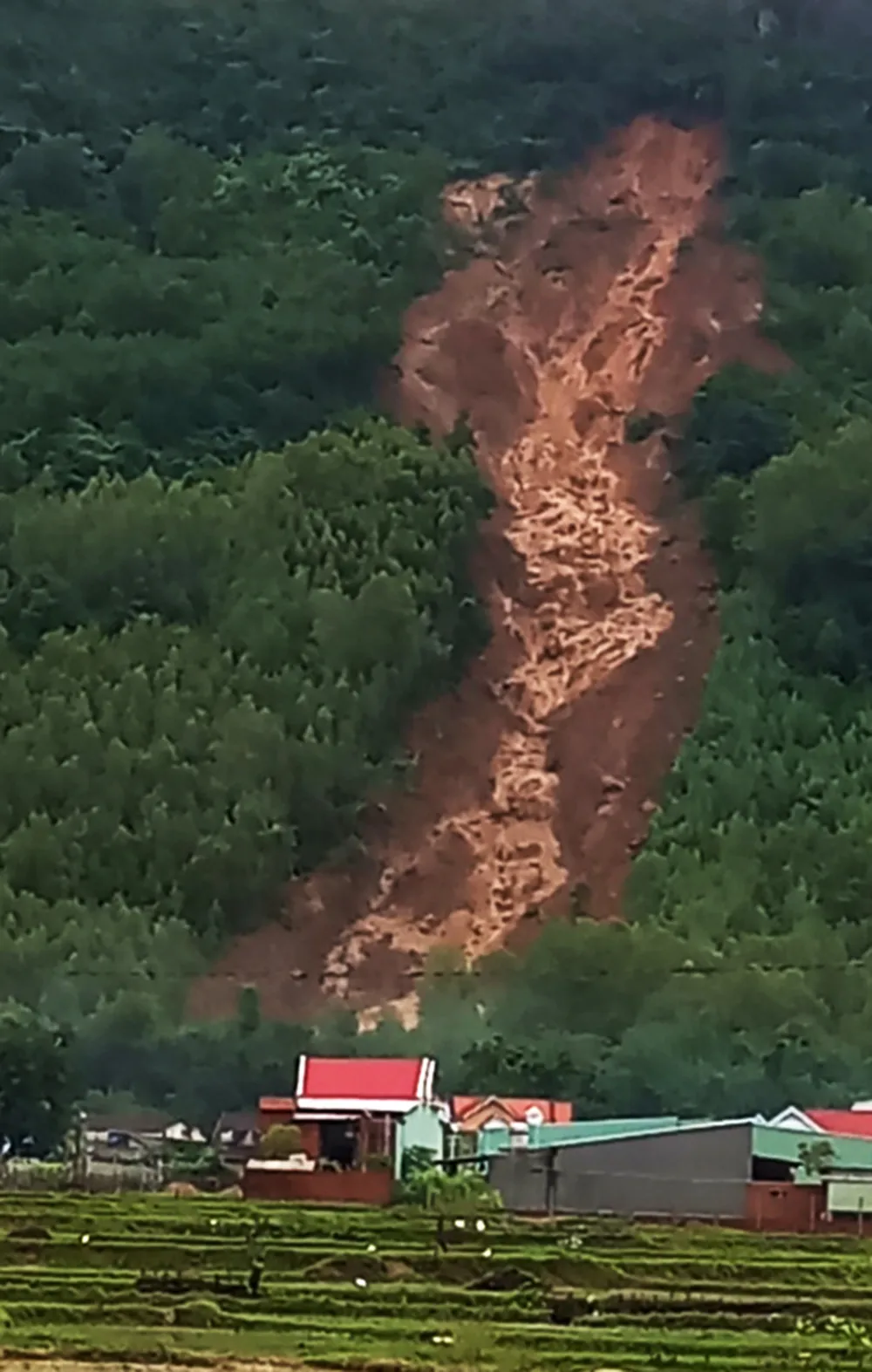 Cận cảnh ngập lụt cô lập hàng ngàn hộ dân ở Bình Định ảnh 22