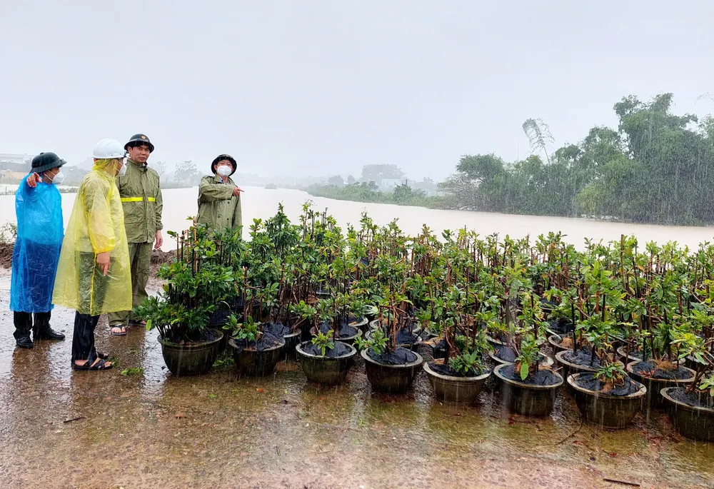 Cận cảnh ngập lụt cô lập hàng ngàn hộ dân ở Bình Định ảnh 14