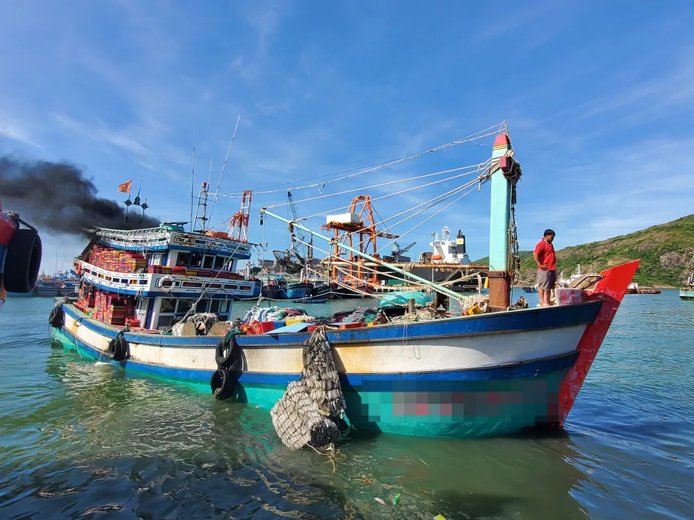 Ngư dân bị chèn ép, “chặt chém” giá dầu: Cục Quản lý thị trường than khó quản lý ở cửa biển ảnh 4