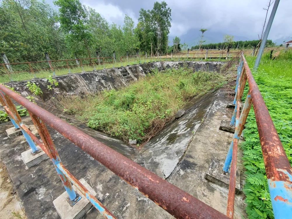 Cỏ dại bủa vây nhà máy nước hơn 7 tỷ  ảnh 8