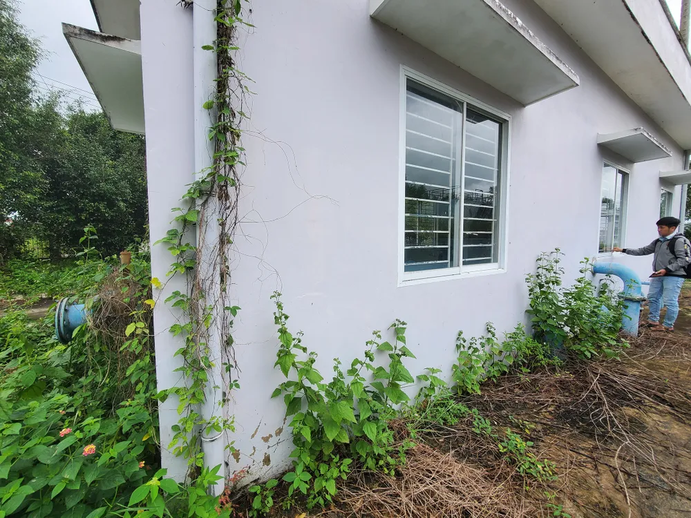 Cỏ dại bủa vây nhà máy nước hơn 7 tỷ  ảnh 4