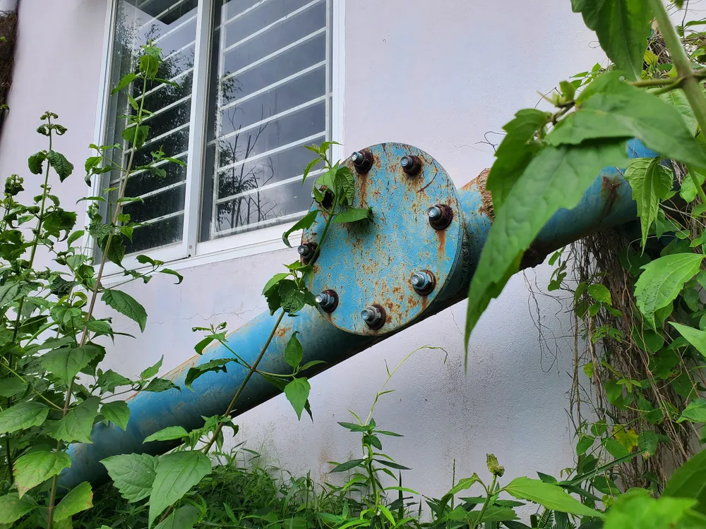 Cỏ dại bủa vây nhà máy nước hơn 7 tỷ  ảnh 5