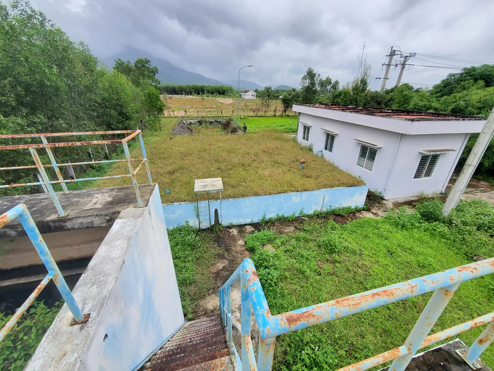 Cỏ dại bủa vây nhà máy nước hơn 7 tỷ  ảnh 2