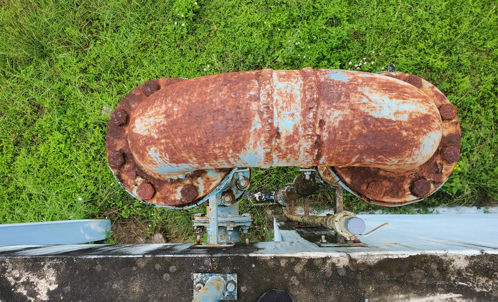 Cỏ dại bủa vây nhà máy nước hơn 7 tỷ  ảnh 16