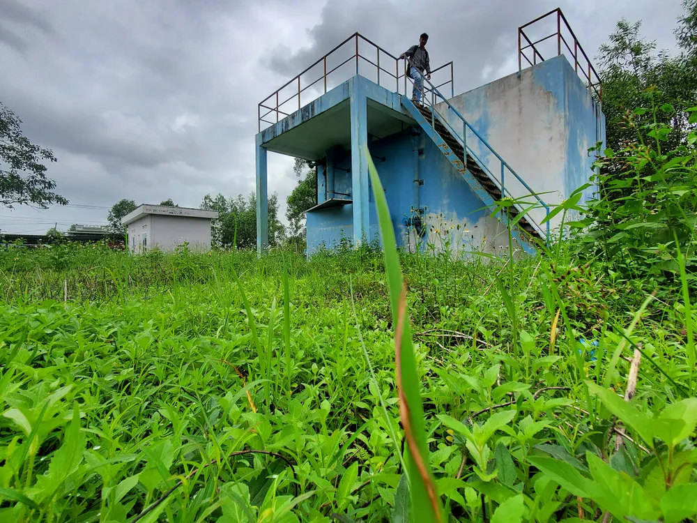 Cỏ dại bủa vây nhà máy nước hơn 7 tỷ  ảnh 17