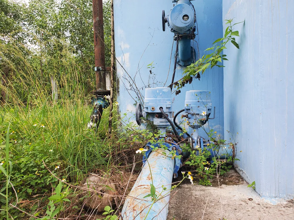 Cỏ dại bủa vây nhà máy nước hơn 7 tỷ  ảnh 12