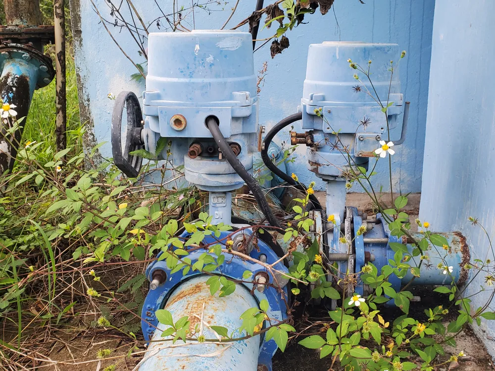 Cỏ dại bủa vây nhà máy nước hơn 7 tỷ  ảnh 13