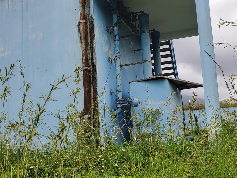 Cỏ dại bủa vây nhà máy nước hơn 7 tỷ  ảnh 3