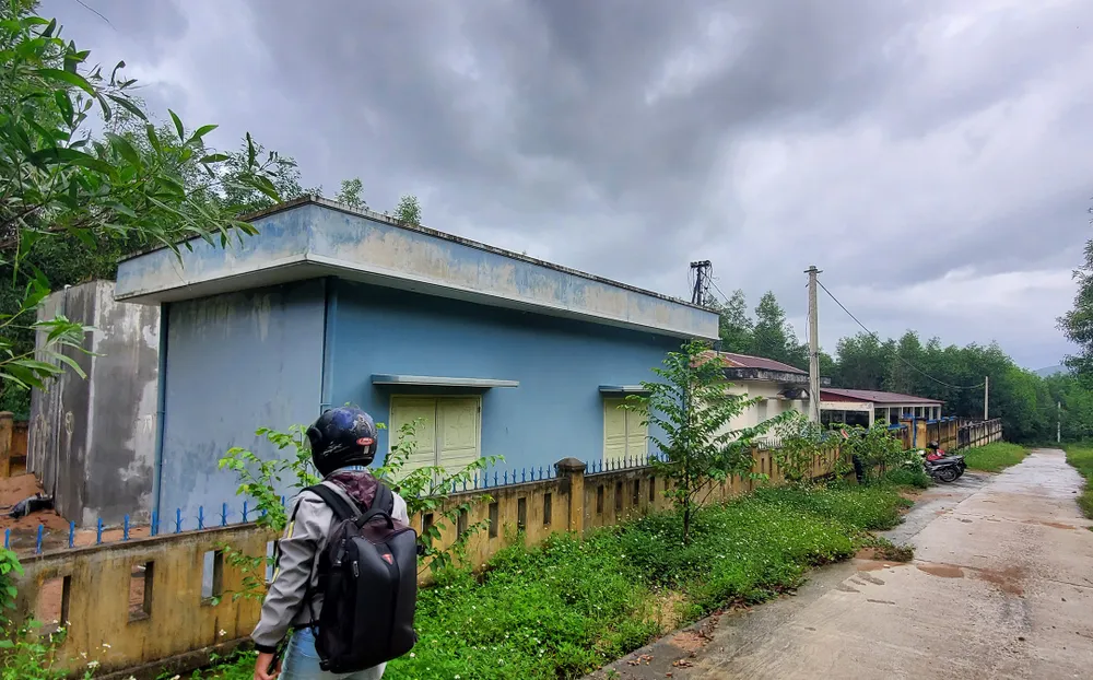 Cỏ dại bủa vây nhà máy nước hơn 7 tỷ  ảnh 18